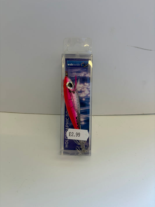 WSB Squid Jig